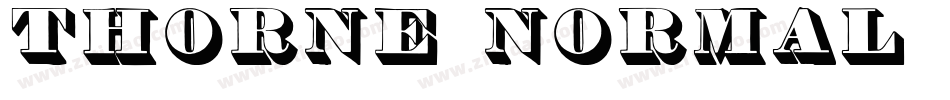 Thorne Normal字体转换